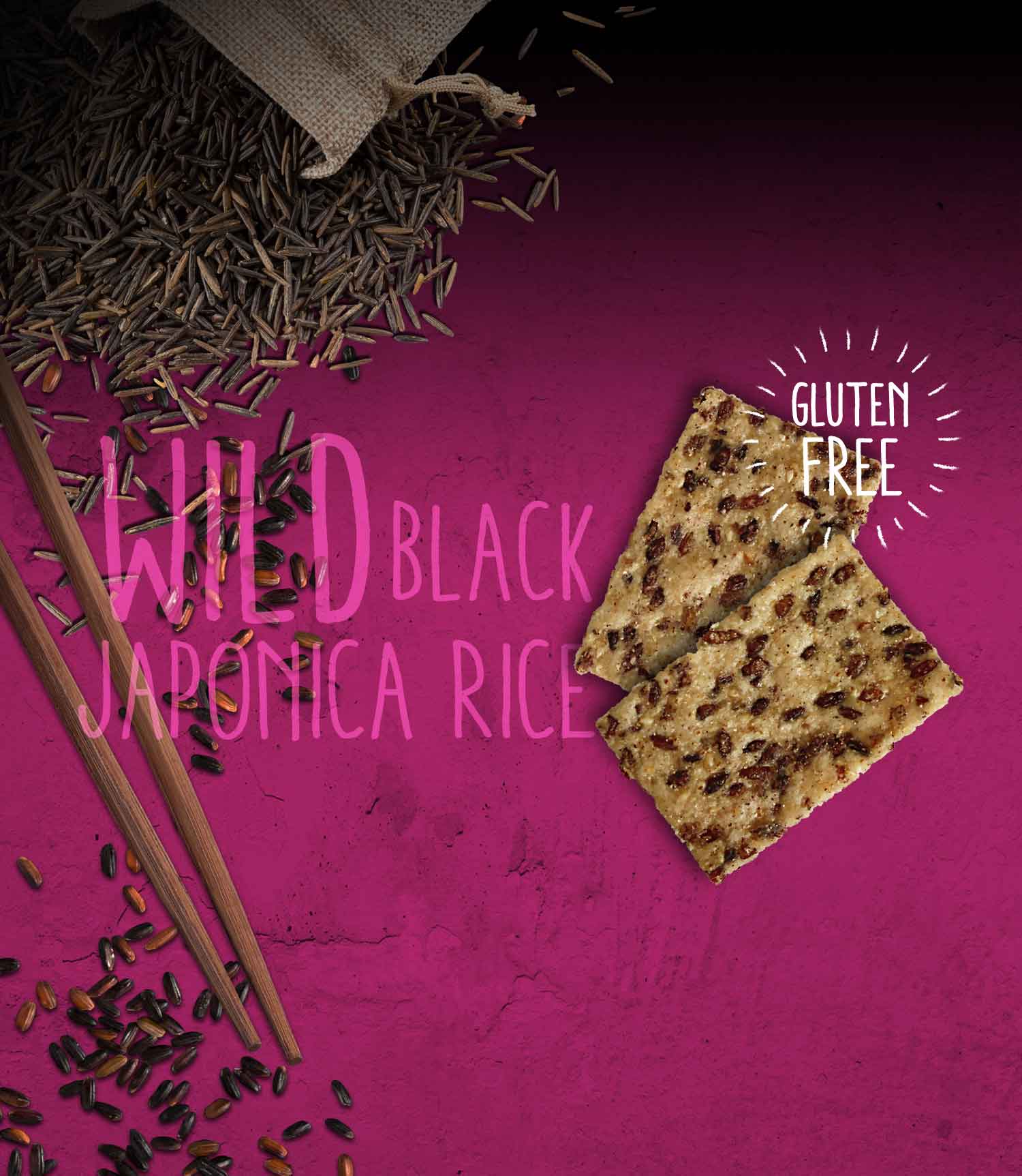 Rice Chips - Riceworks