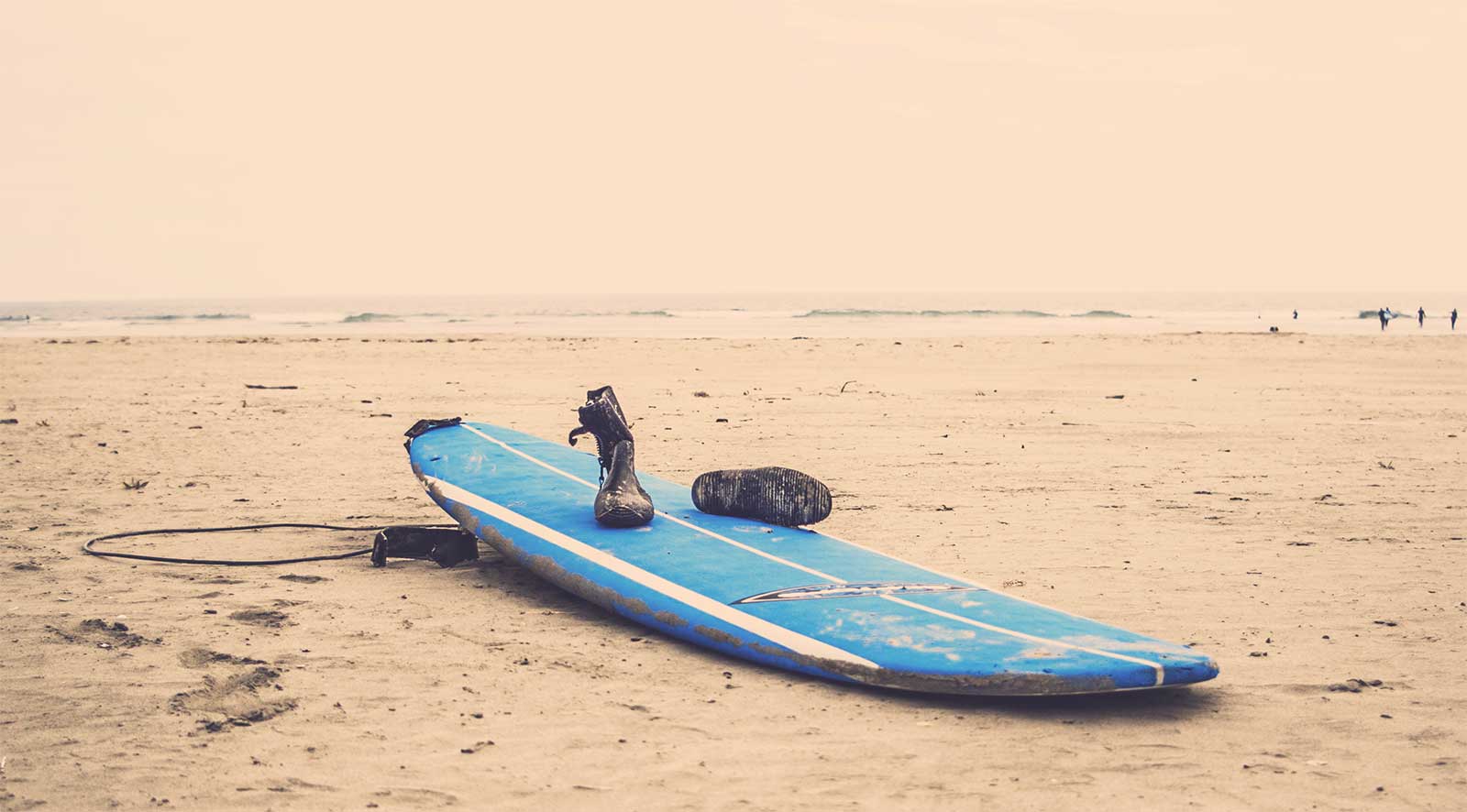 The Surfboard The Surfboard